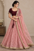 Beautiful Shining Nylon Net Saree