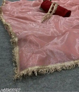 Beautiful Shining Nylon Net Saree